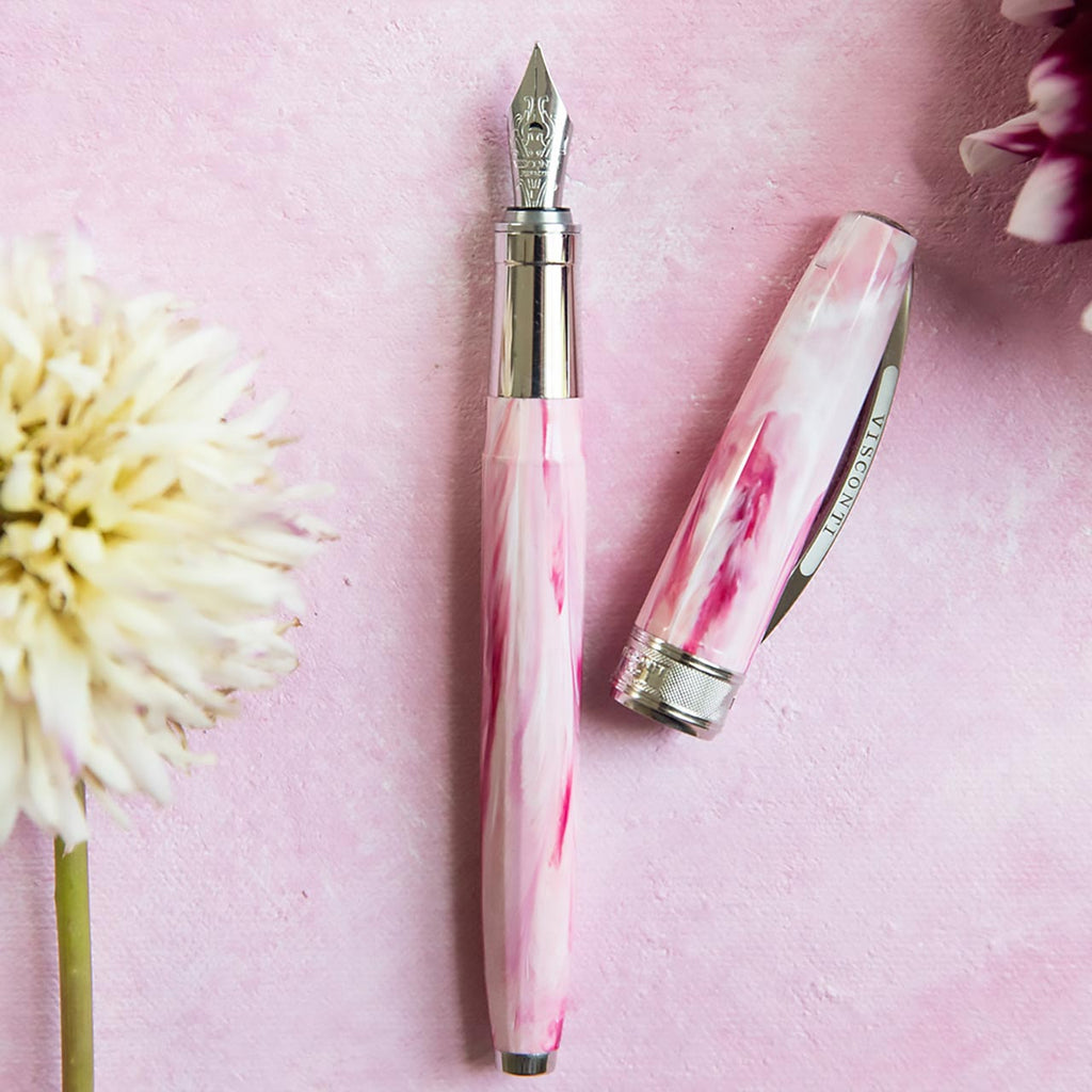 VISCONTI Souvenir de Mauve ボールペン Visconti Van Gogh Souvenir de Mauve Fountain Pen