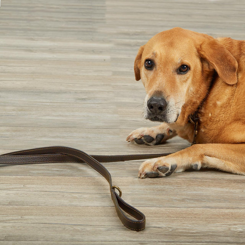 Dog Tales Bomber Jacket Leather Dog Leash