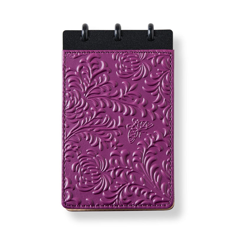 | Mulberry