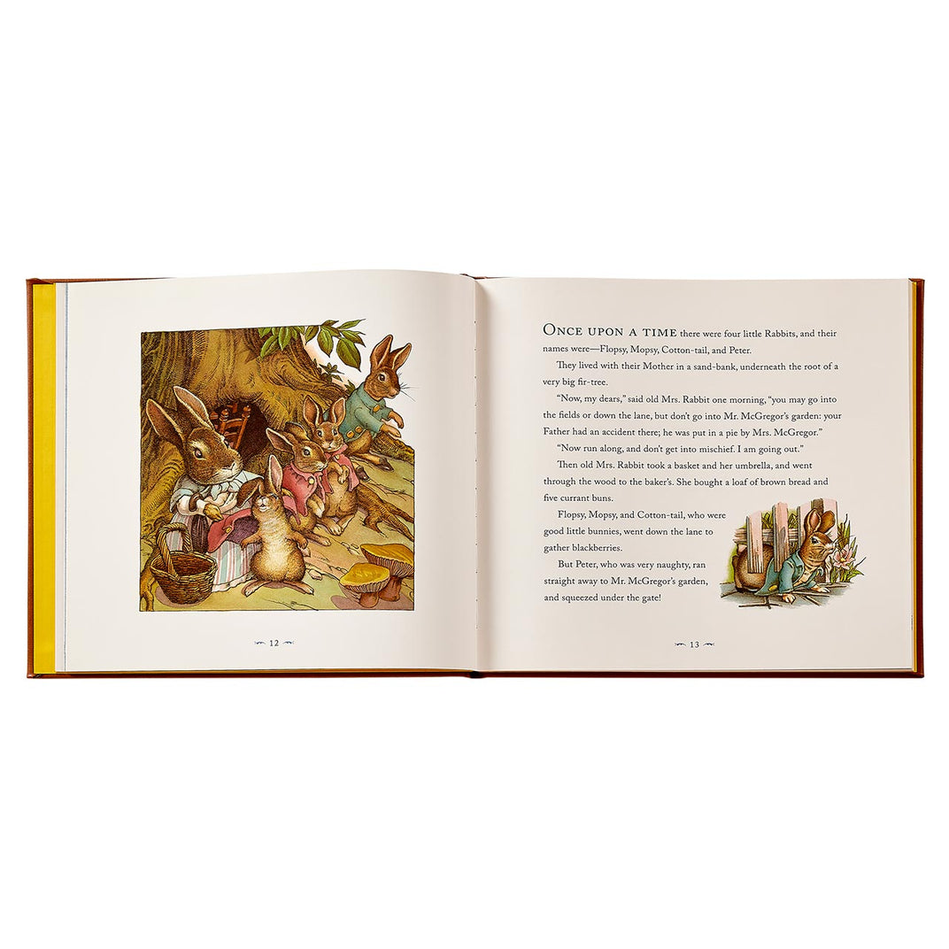 | Lifestyle