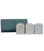 Wellness Trio Gift tea set with three decorative tins and a teal gift box