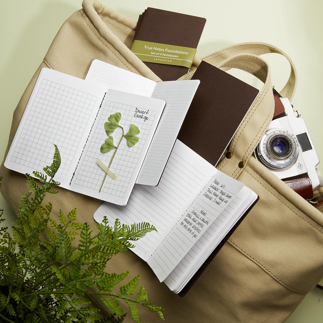 True Note Notebook Levenger | True Notes Foundations Pocket Notebooks (set of 4)